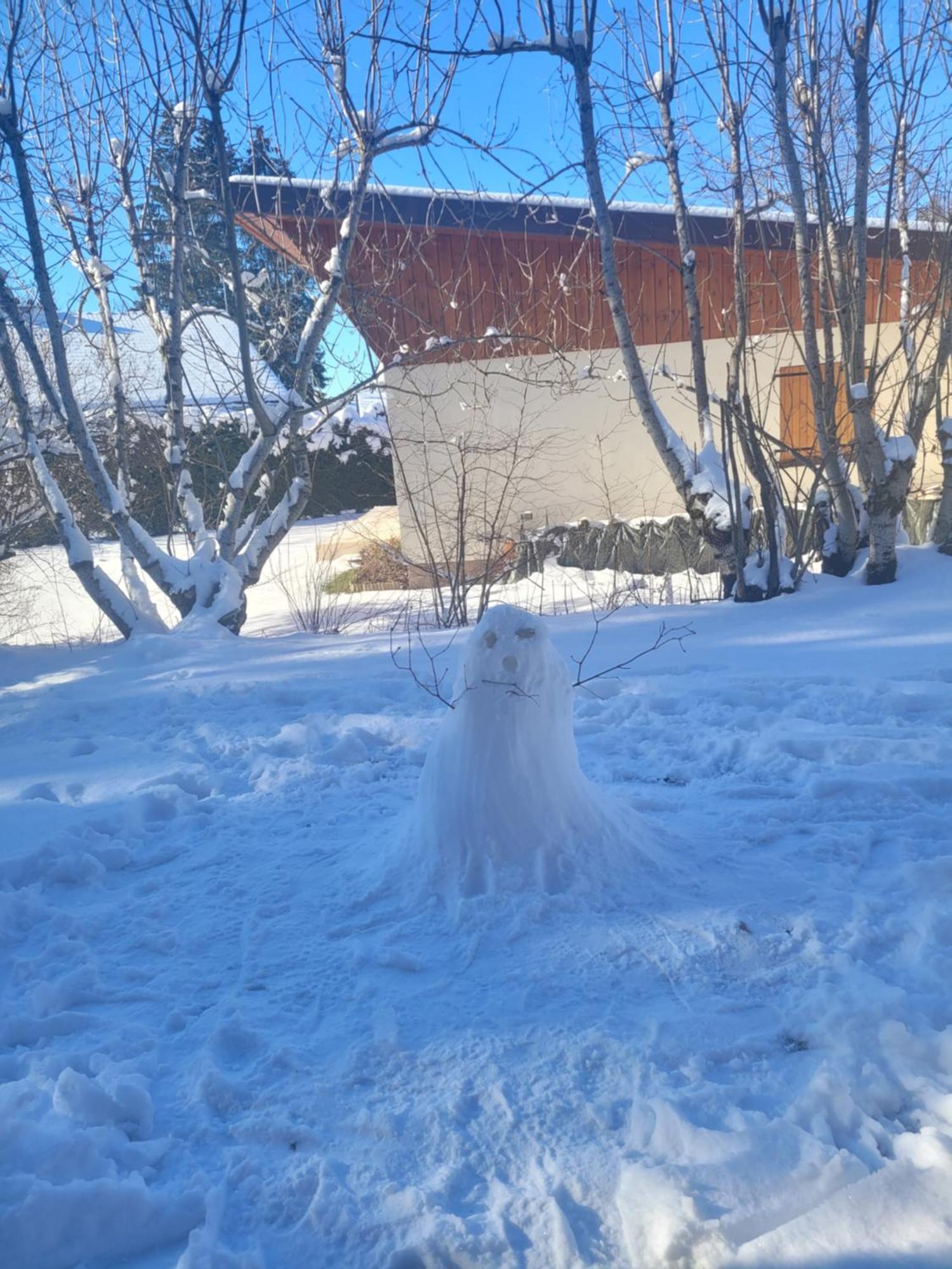 Appartement Le Flocon, Joli Petit Cocon 4 Pers En Rez De Jardin Draps Inclus Les Rousses Extérieur photo